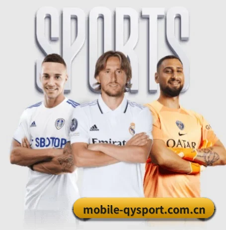 m.mobile-qysport.com.cn的方向 - 长期内容价值积累